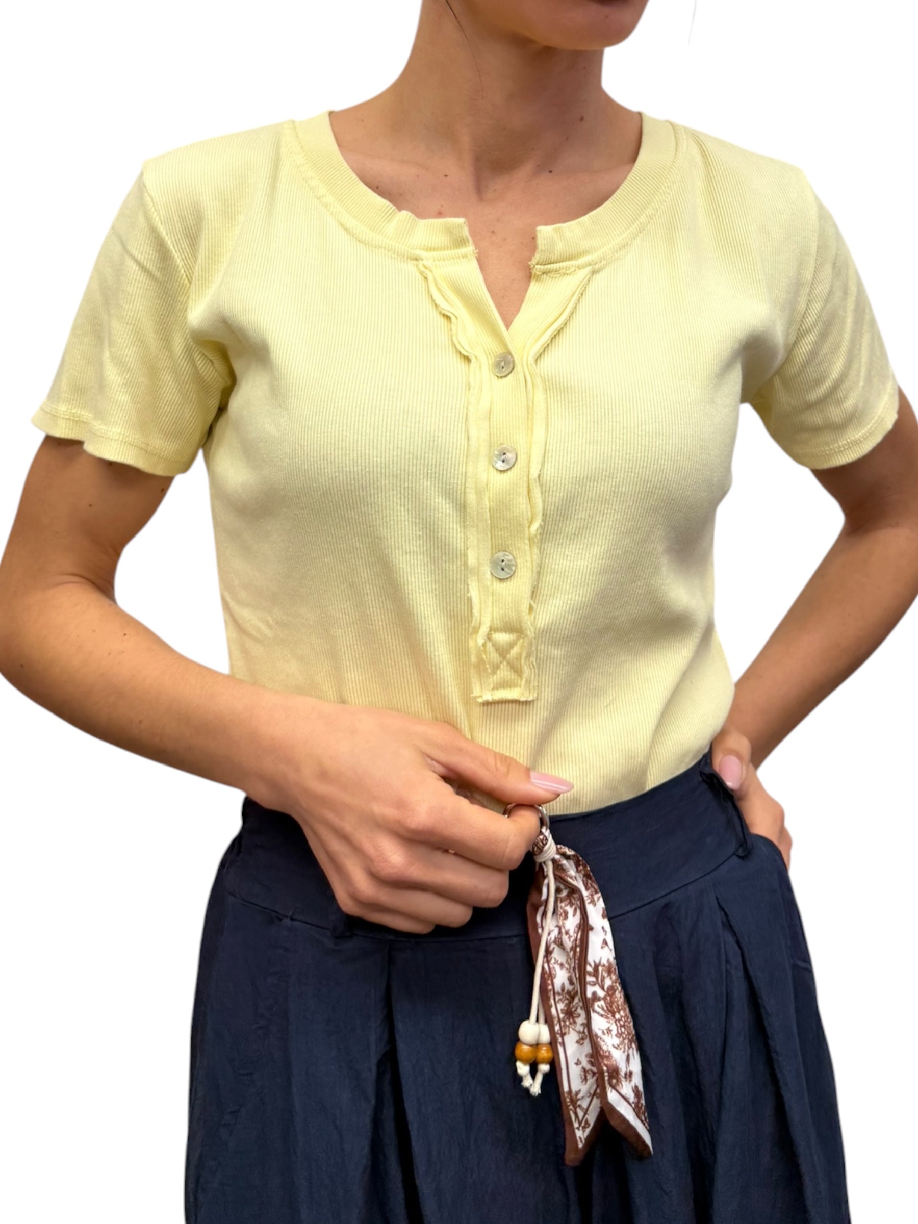 Maglia t- shirt chester vari colori